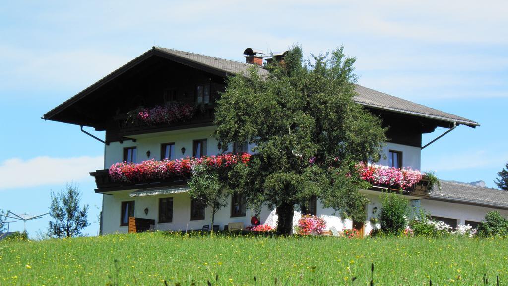 Hotel Vorderwimmhof Abtenau Esterno foto