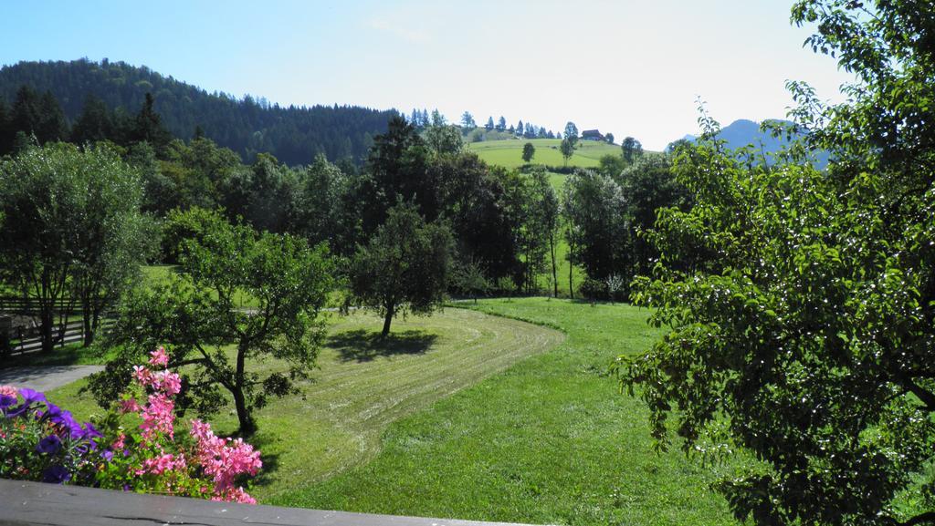 Hotel Vorderwimmhof Abtenau Esterno foto